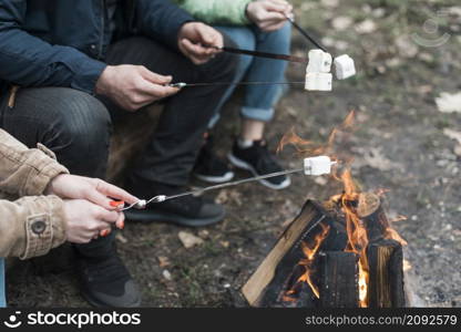 friends cooking marshmallow bonfire