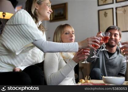 Friends drinking wine at party