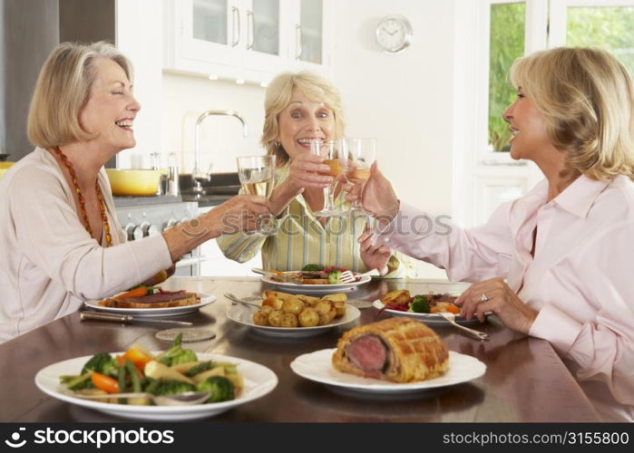 Friends Enjoying Lunch At Home Together