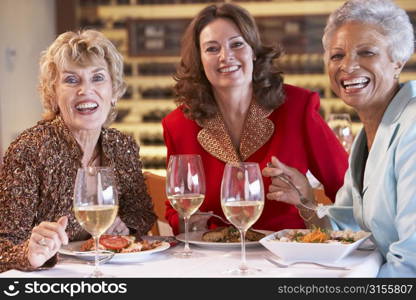 Friends Having Dinner Together At A Restaurant