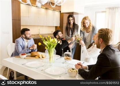 Friends interacting while having a meal at dining table and toast with  white wine