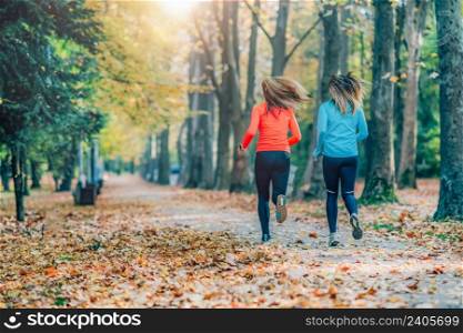 Friends Jogging outdoors, Public Park in Autumn. Rear view. Friends Jogging Outdoors