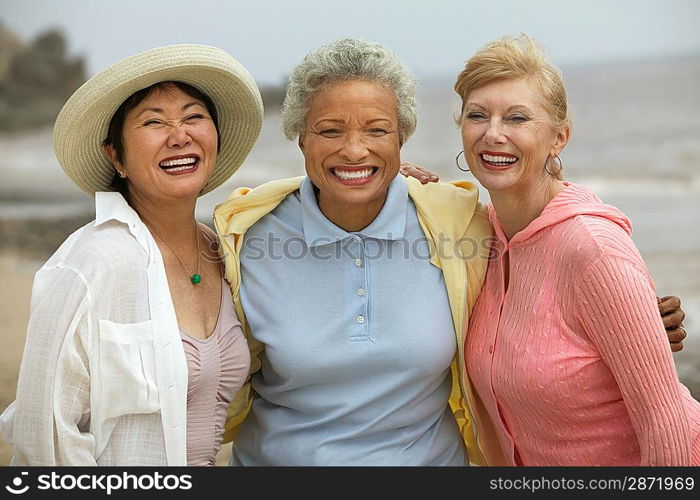 Friends Together at Beach