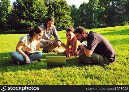 Friends using laptop in grass in park