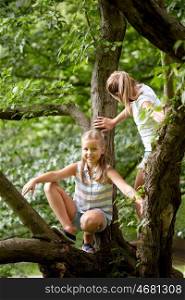 friendship, childhood, leisure and people concept - two happy girls climbing up tree and having fun in summer park