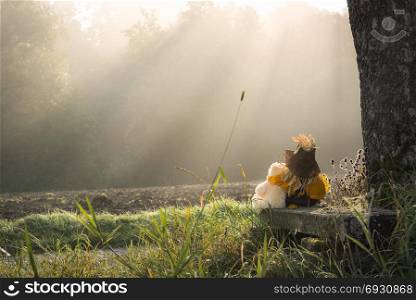 Friendship theme image with a teddy bear and a little scarecrow embraced, on a wooden bench under a tree enjoying the morning mist and sun rays over a forest.