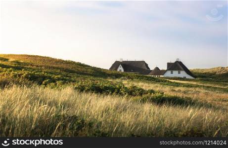 Frisia specific houses with reed roof and hills with marram grass and moss, on Sylt island, Germany, on a summer day. Northern german rural scenery.