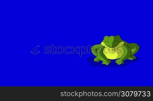 Frog Croaking and Jumping. Animated footage, animal isolated on a blue screen chroma key