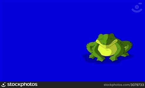 Frog Croaking and Jumping. Animated footage, animal isolated on a blue screen chroma key