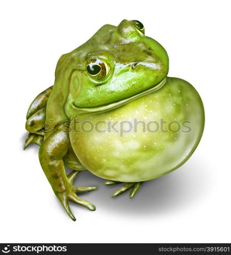 Frog with an inflated throat as a green amphibian communicating as a natural symbol of animal conservation and environmental education for a healthy fresh water ecosystem.