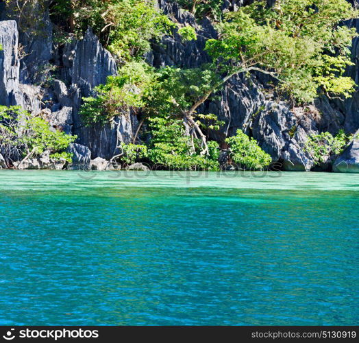 from a boat in philippines snake island near el nido palawan beautiful panorama coastline sea and rock