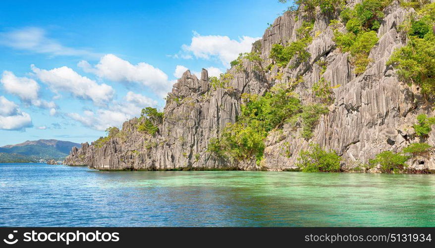 from a boat in philippines snake island near el nido palawan beautiful panorama coastline sea and rock