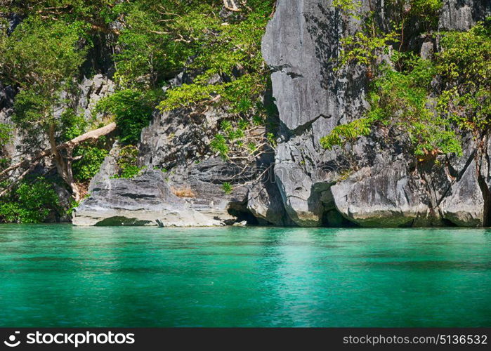 from a boat in philippines snake island near el nido palawan beautiful panorama coastline sea and rock