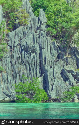 from a boat in philippines snake island near el nido palawan beautiful panorama coastline sea and rock