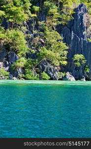 from a boat in philippines snake island near el nido palawan beautiful panorama coastline sea and rock