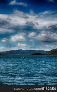 from a boat in philippines snake island near el nido palawan beautiful panorama coastline sea and rock