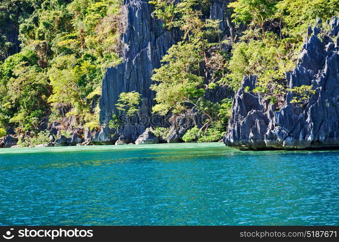 from a boat in philippines snake island near el nido palawan beautiful panorama coastline sea and rock