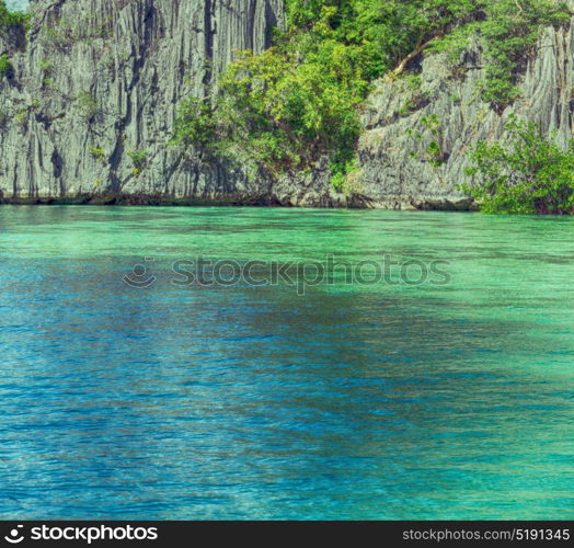 from a boat in philippines snake island near el nido palawan beautiful panorama coastline sea and rock