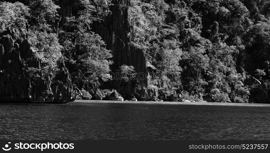 from a boat in philippines snake island near el nido palawan beautiful panorama coastline sea and rock