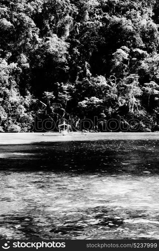 from a boat in philippines snake island near el nido palawan beautiful panorama coastline sea and rock