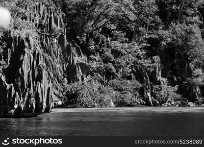 from a boat in philippines snake island near el nido palawan beautiful panorama coastline sea and rock