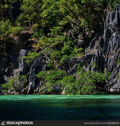 from a boat in philippines snake island near el nido palawan beautiful panorama coastline sea and rock