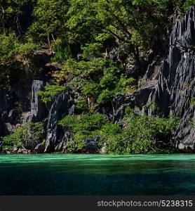 from a boat in philippines snake island near el nido palawan beautiful panorama coastline sea and rock