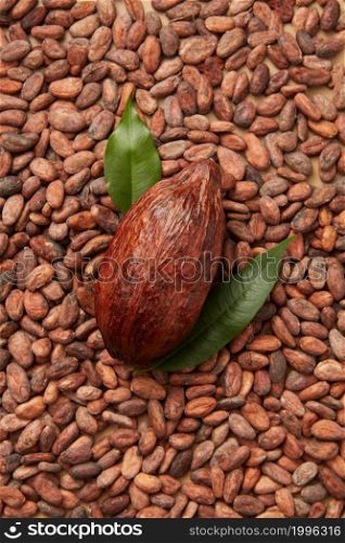 From above of single whole cocoa pod with green leaves placed on top of unpeeled organic raw beans. Whole pod of cocoa tree on beans