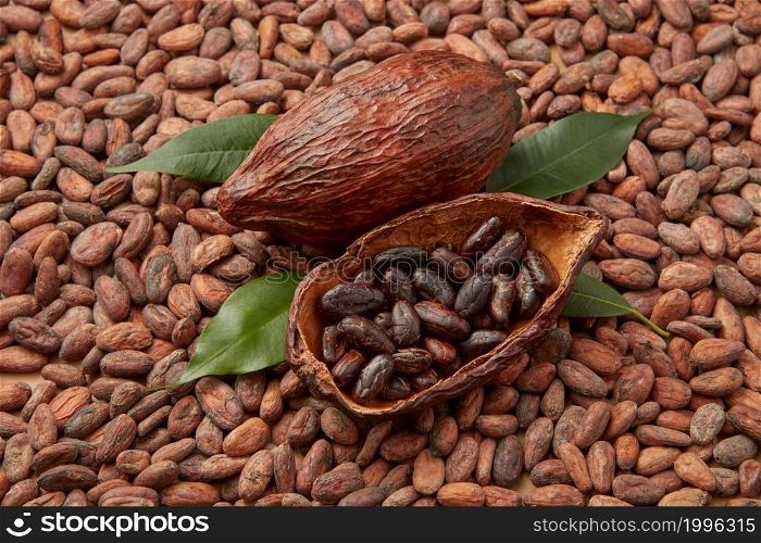 From above of whole and halved cocoa pods with organic raw Theobroma cacao beans. Aromatic peeled beans of cocoa tree