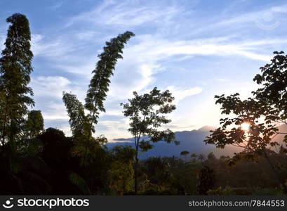 From Andes to Amazon, View of the tropical rainforest, Ecuador