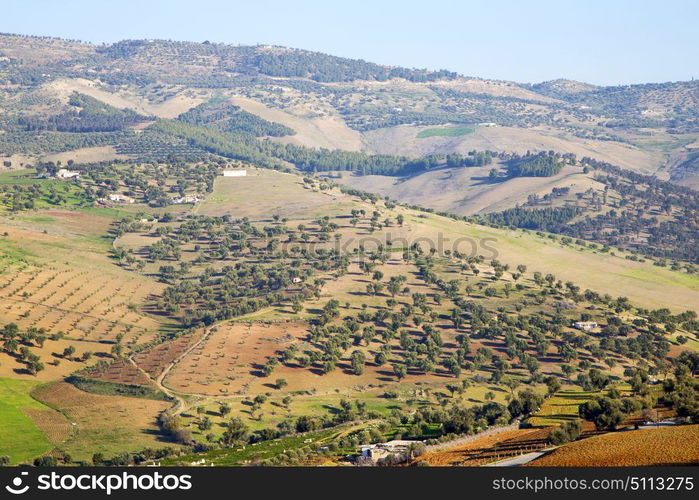 from high in the village morocco africa field and constructions