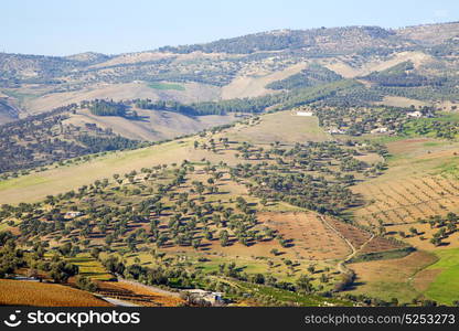 from high in the village morocco africa field and constructions