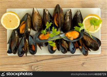 From the sea to the table. Delicious mussel dish