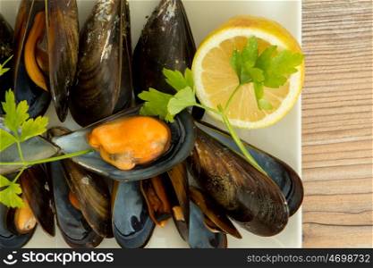 From the sea to the table. Delicious mussel dish
