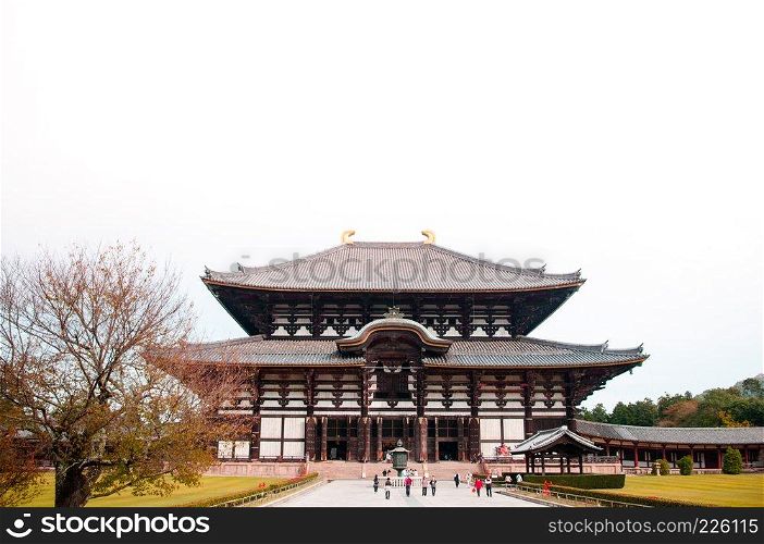 Front of main hall of Todaiji Temple - Nara - Japan