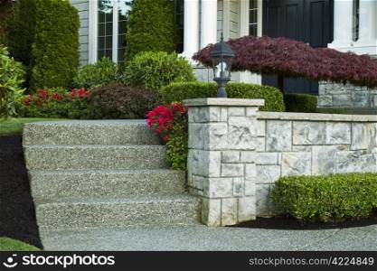Front steps leading to front yard with red flowers in bloom and maple tree in front of house