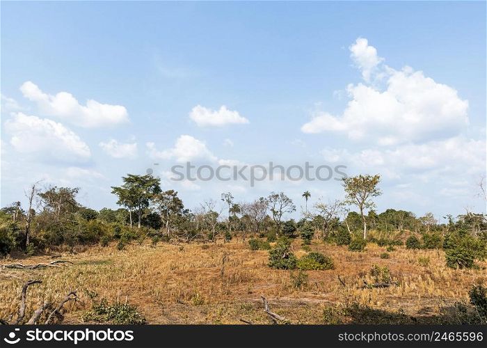 front view african nature landscape