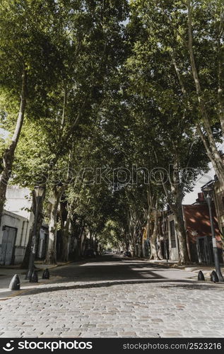 front view city street view with trees buildings