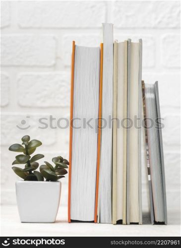 front view desk with stacked books plant