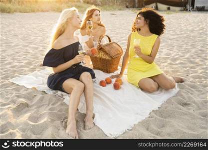 front view girls having picnic beach