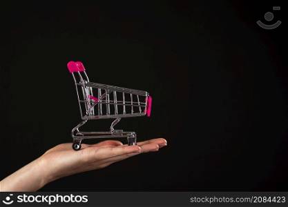 front view hand holding mini shopping cart black background
