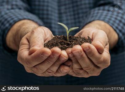 front view male hands holding soil little plant