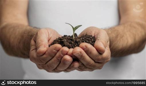 front view male hands holding soil plant