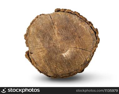 Front view of a log isolated on a white background. Front view of a log