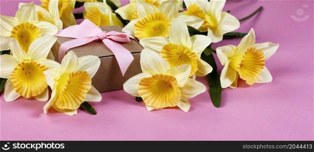 Front view of yellow daffodil flowers with giftbox in background on a pink background for Mothers Day or Easter holiday concept