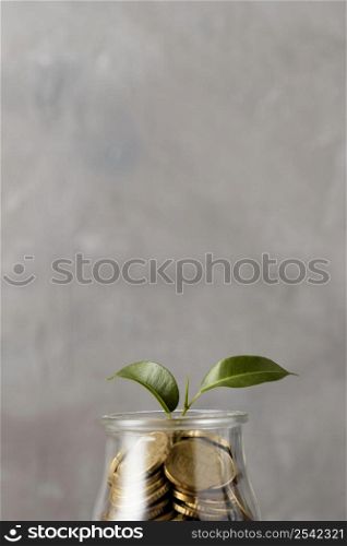 front view plant growing from jar coins with copy space