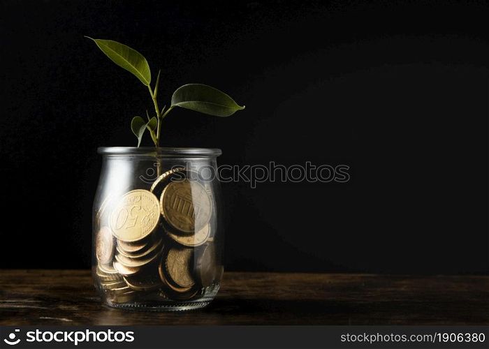 front view plant growing from jar with coins copy space. High resolution photo. front view plant growing from jar with coins copy space. High quality photo
