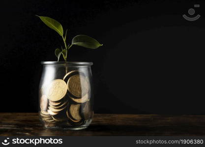 front view plant growing from jar with coins copy space. High resolution photo. front view plant growing from jar with coins copy space. High quality photo