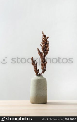 front view vase with plant