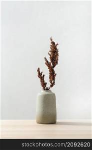front view vase with plant